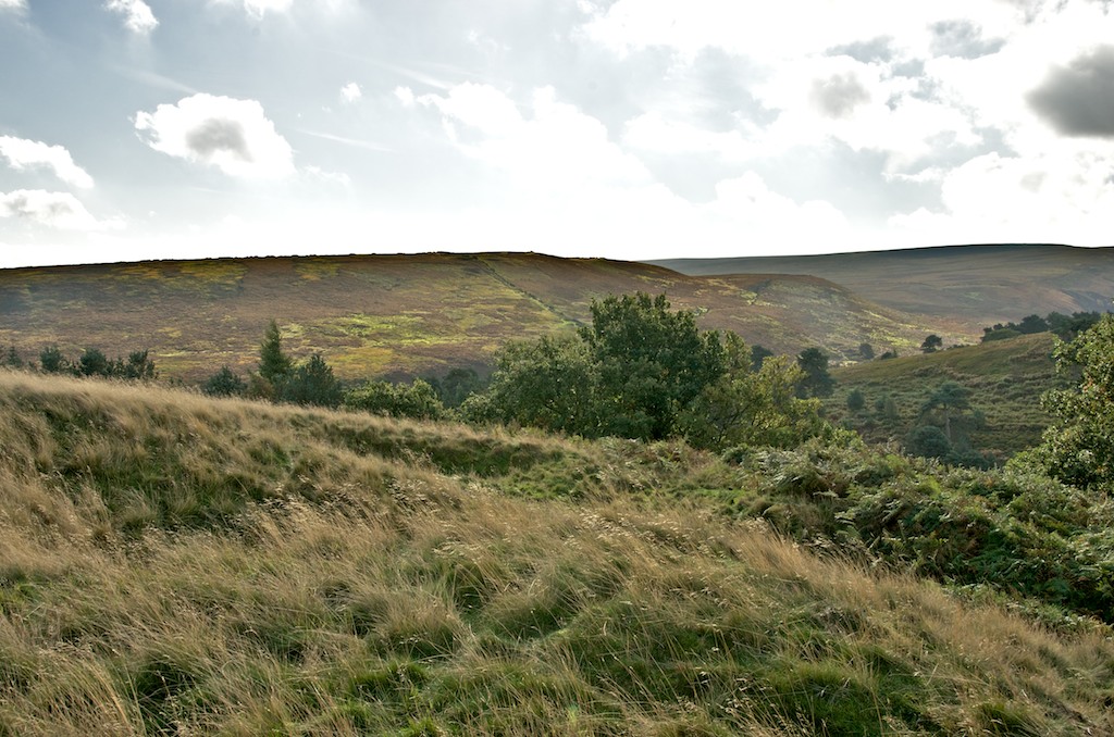 Langsett Moors