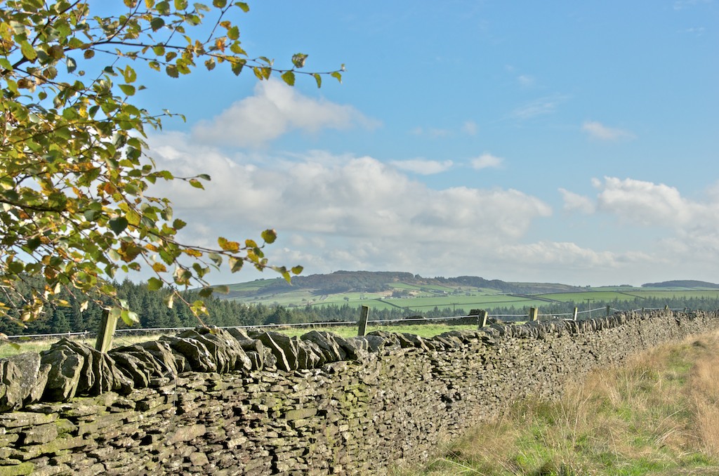 Langsett View