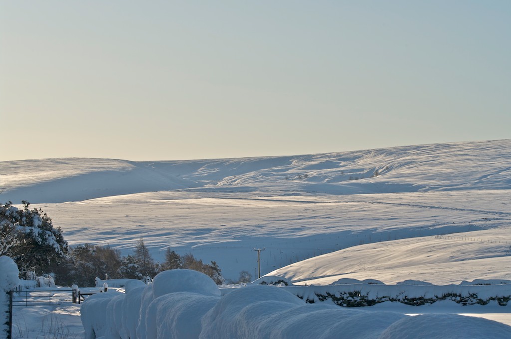 Winter Scene Langsett