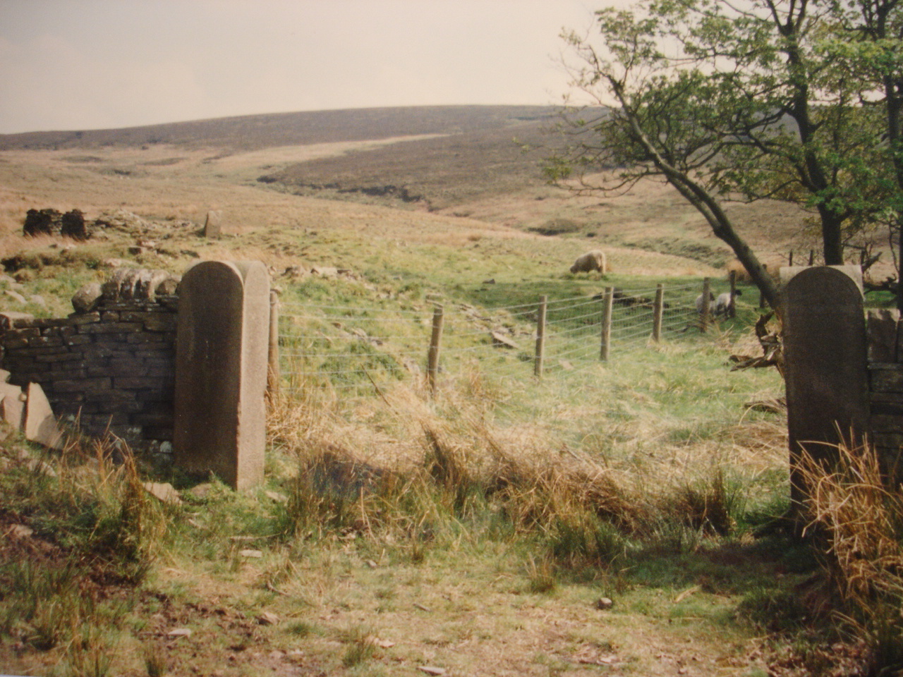 Lady Cross Remains