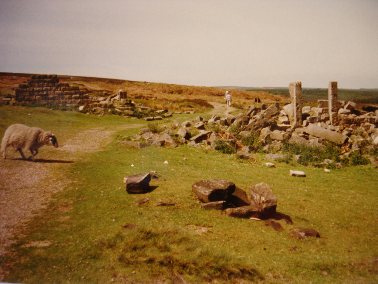 North America Farm Remains