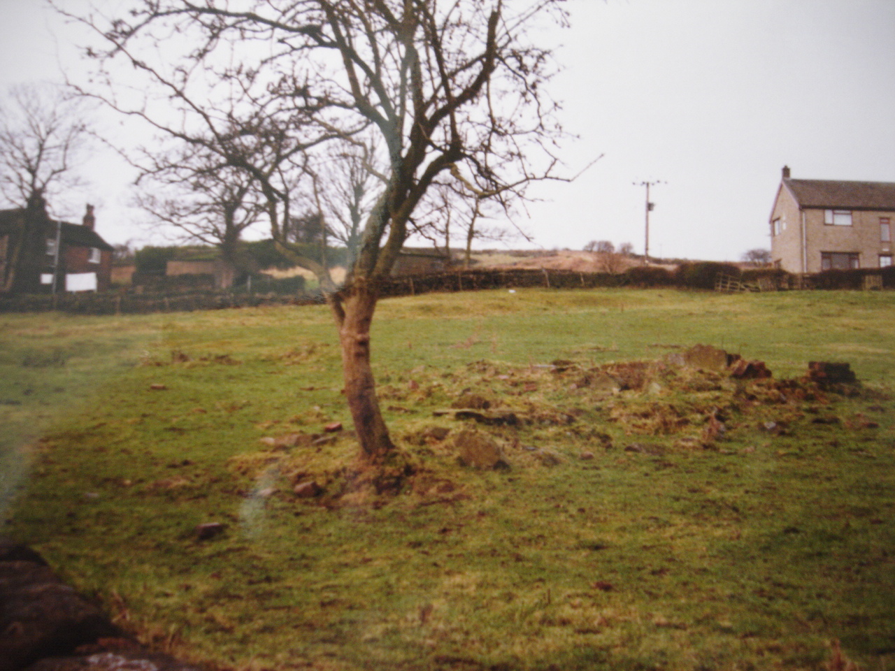Remains of Stanley Farm
