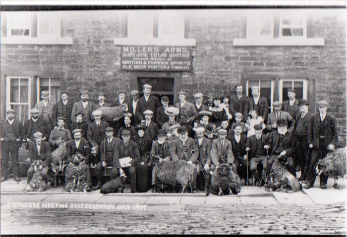 Shepherds at Saltersbrook