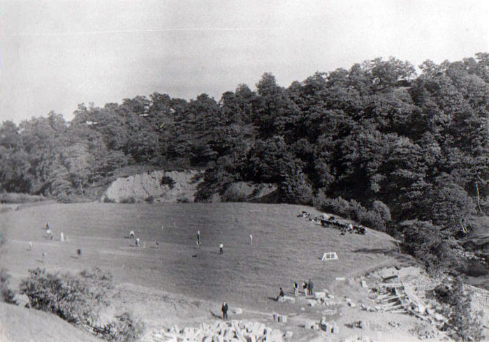 The Old Cricket Field