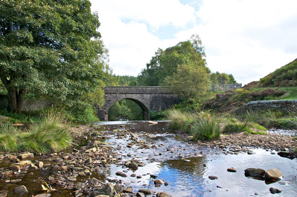 Bridge over Little Don River