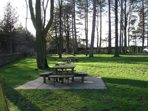 Picnic Area at Langsett Barn