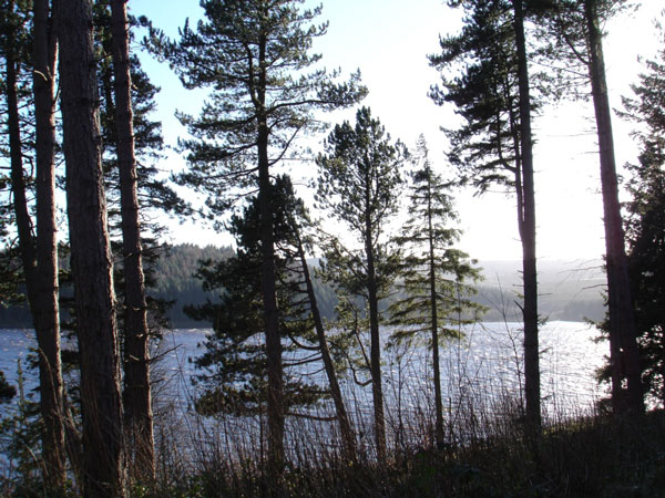 View of Reservoir